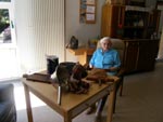Demenz – Krankheitsbilder und Diagnostik